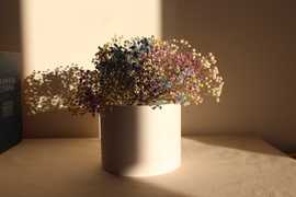 Кашпо для сухоцвітів Кашпо для сухоцвітів